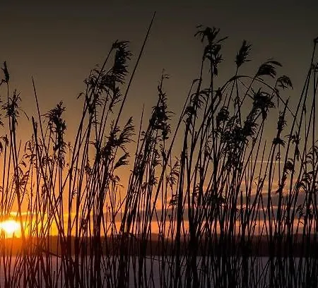 Appartement The Hidden Sea View Sønderborg