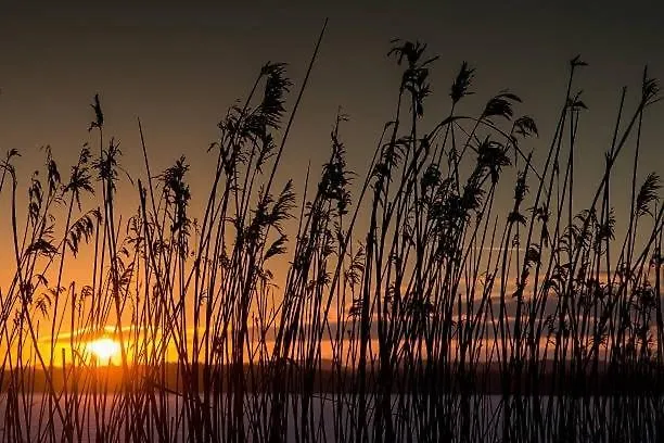 Apartmán The Hidden Sea View Sønderborg